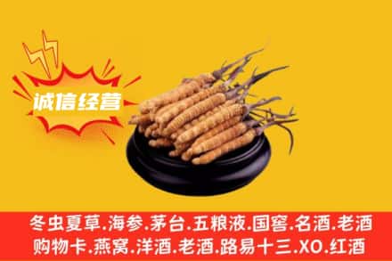 衢州江山市回收冬虫夏草